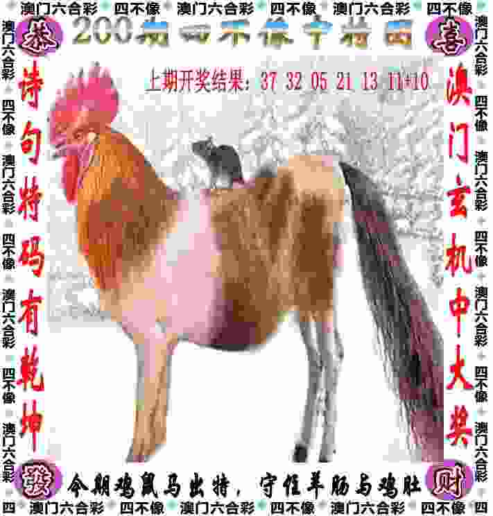 77777788888免费四肖网站呢钻石破解版下载-7777788888管家婆老家最新版本更新内容国际服最新版本下载v9   .73   .711   -2278安卓网